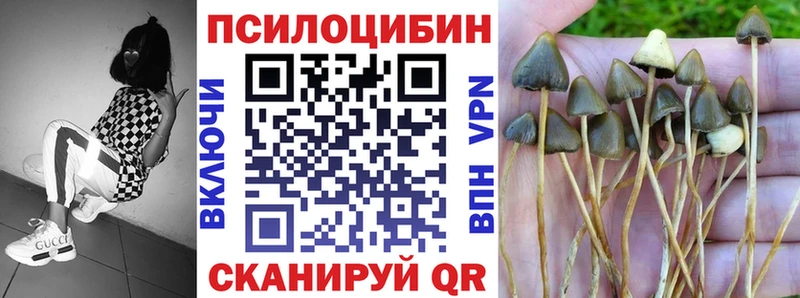 мега сайт  Новокубанск  Псилоцибиновые грибы мицелий 
